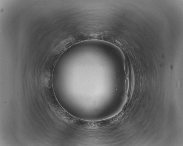 X0000084050656200702161508