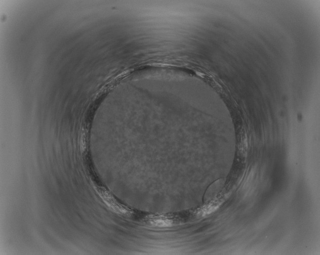 X0000084050658200702161508