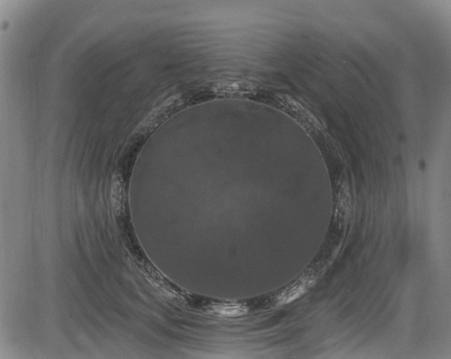 X0000084050659200702161508