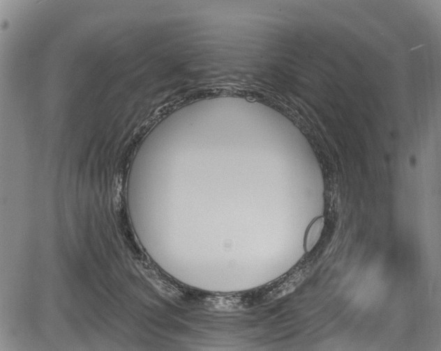 X0000084050660200702161508