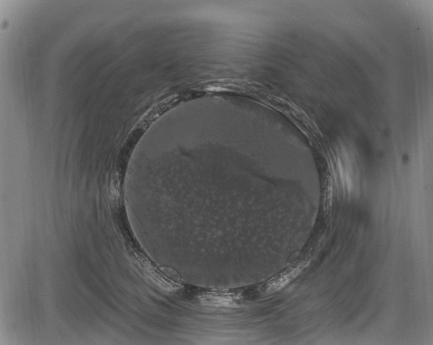 X0000084050661200702161508