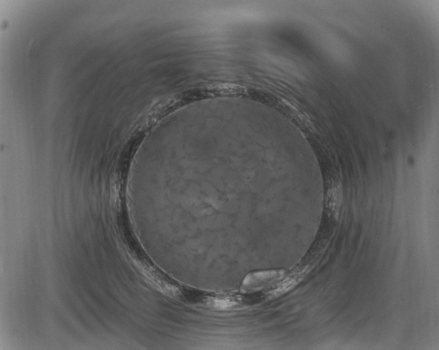 X0000084050662200702161508