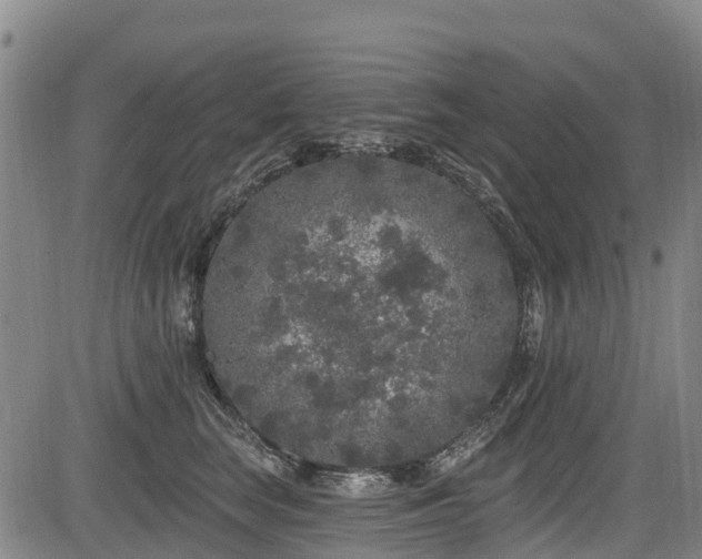 X0000084050663200702161508