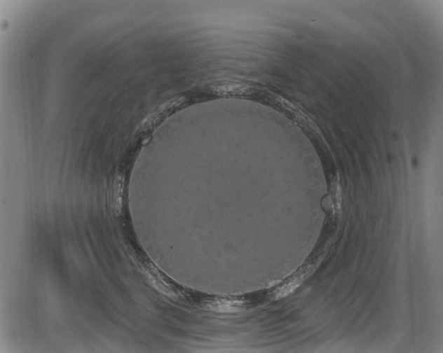 X0000084050664200702161508