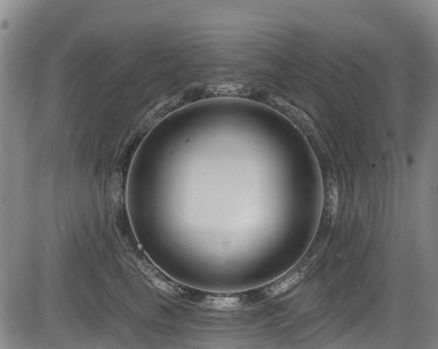 X0000084050665200702161508