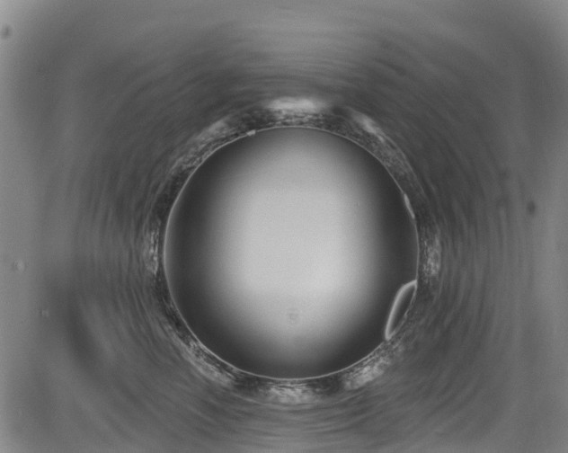 X0000084050666200702161508