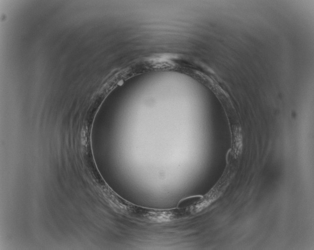 X0000084050667200702161508