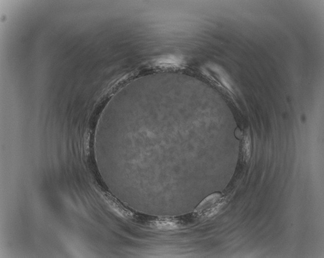 X0000084050668200702161508