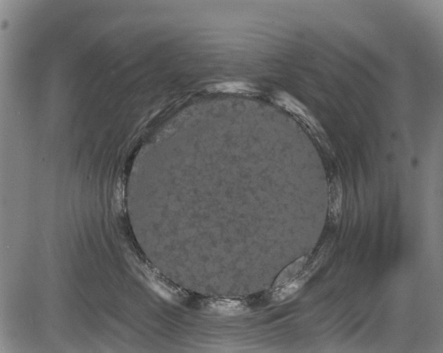 X0000084050669200702161508