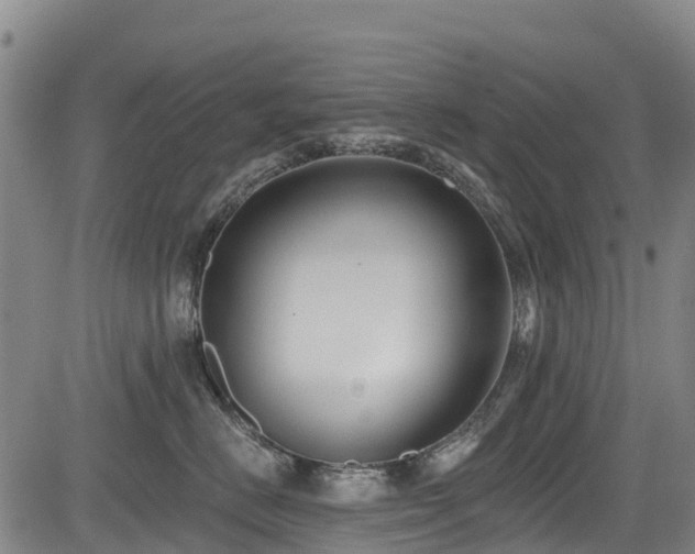 X0000084050670200702161508