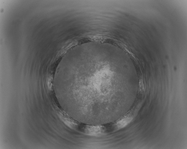 X0000084050671200702161508