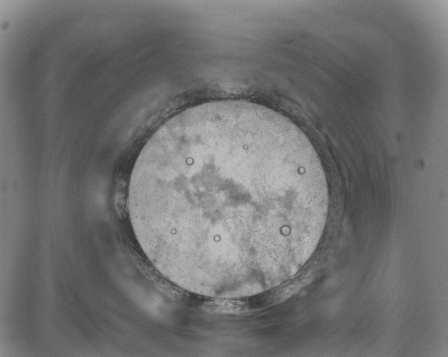 X0000084050672200702161508