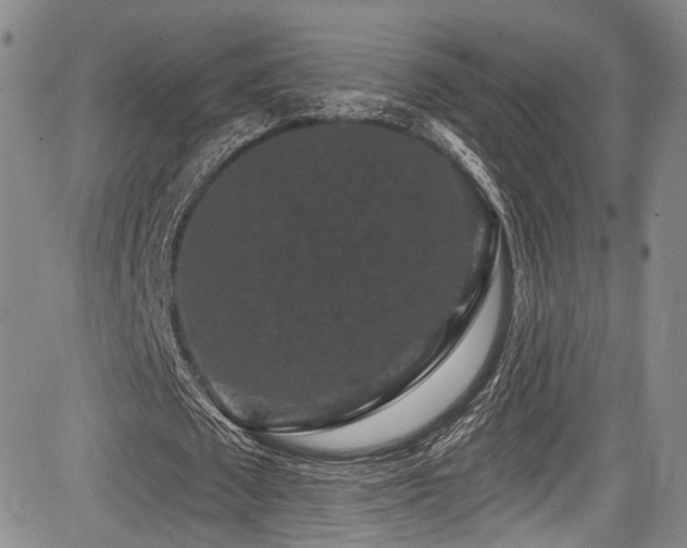 X0000084050673200702161507