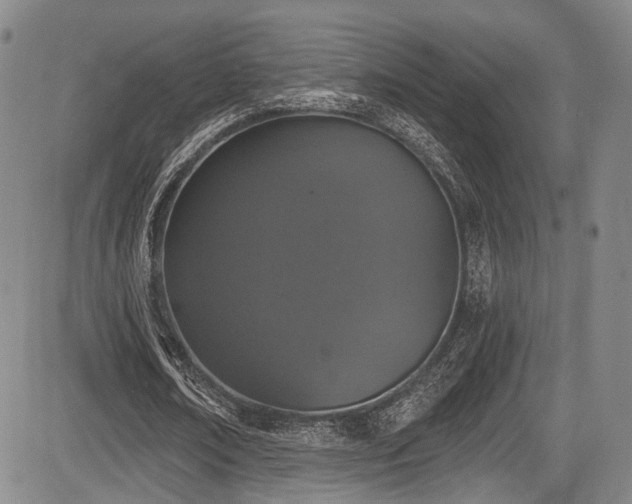 X0000084050674200702161507