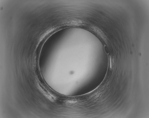 X0000084050675200702161507