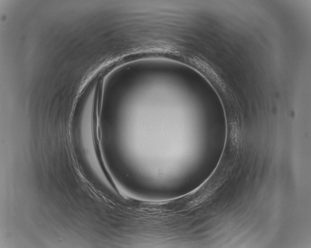 X0000084050676200702161507