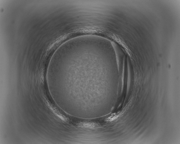 X0000084050681200702161507