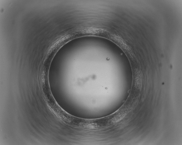 X0000084050683200702161507