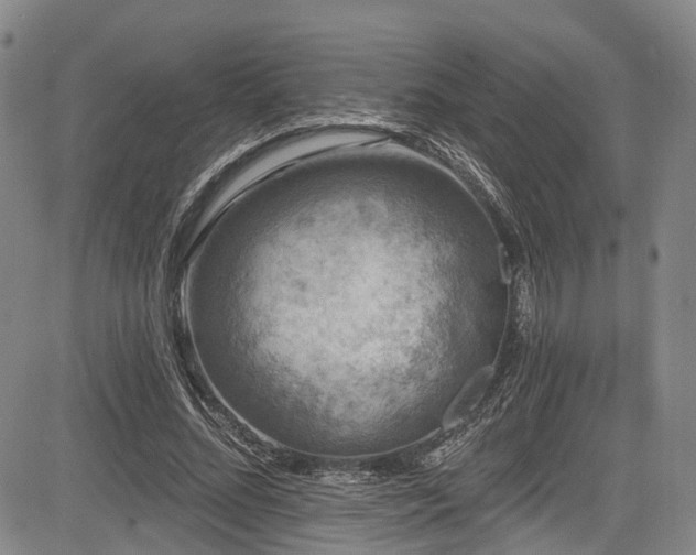 X0000084050684200702161507