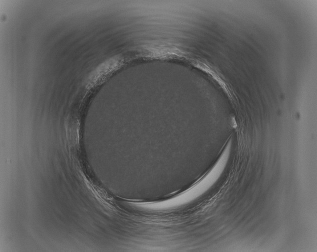 X0000084050685200702161507