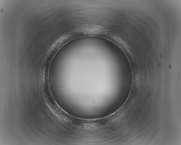 X0000084050686200702161507