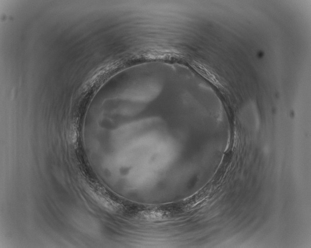 X0000084050687200702161507