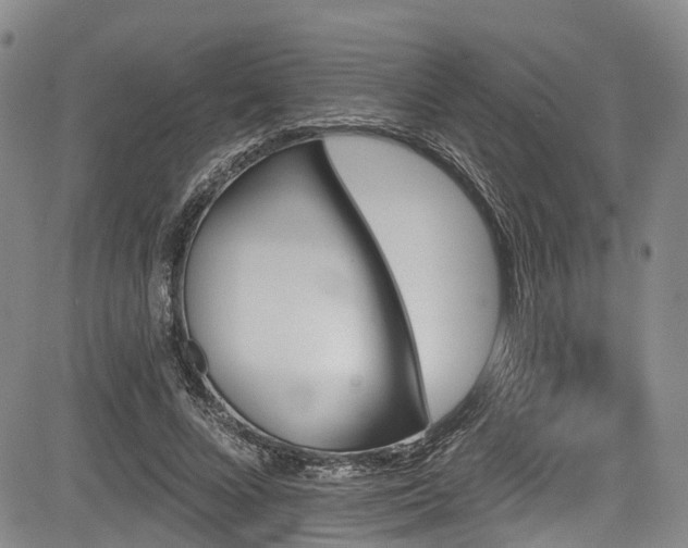 X0000084050688200702161507