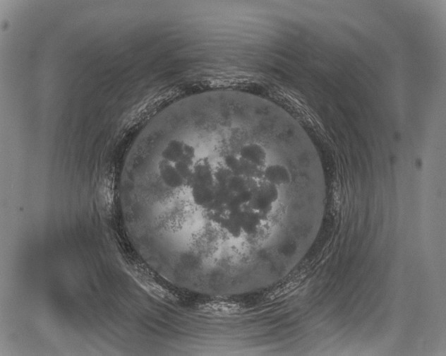 X0000084050691200702161507