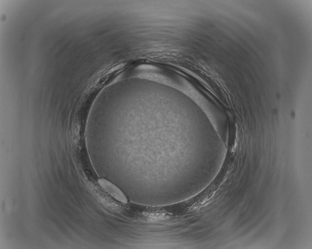 X0000084050693200702161507