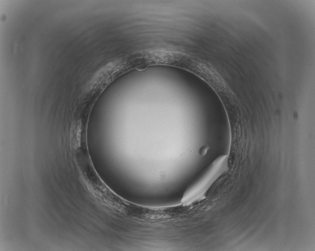 X0000084050694200702161507