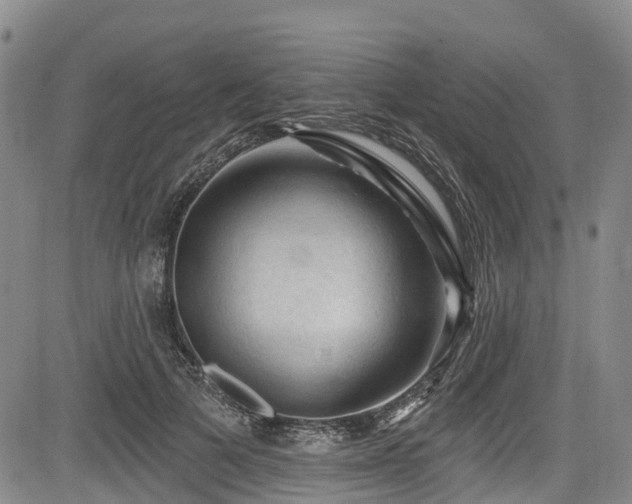 X0000084050697200702161507