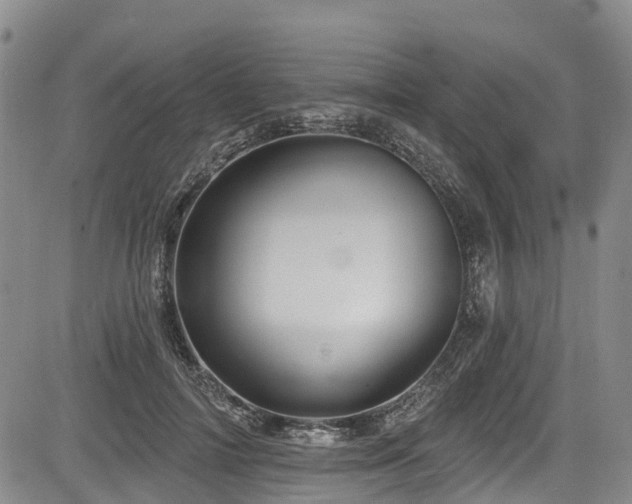 X0000084050698200702161507