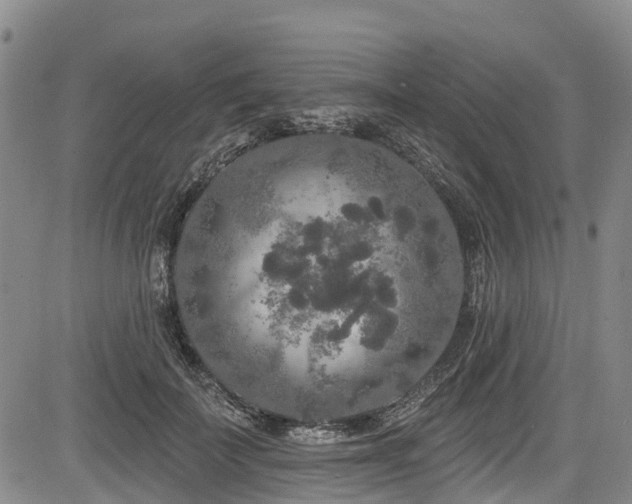 X0000084050699200702161507