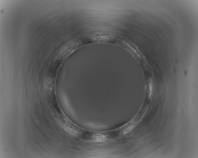 X0000084050701200702161507