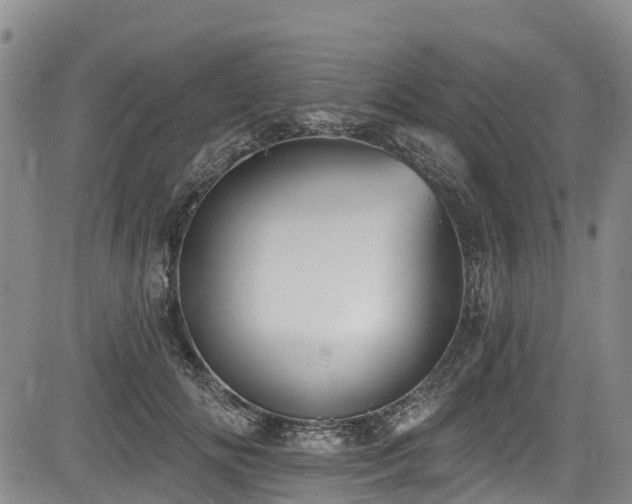 X0000084050702200702161507