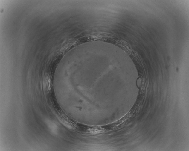 X0000084050703200702161507