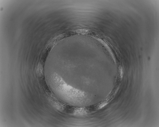 X0000084050705200702161507