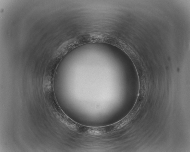 X0000084050706200702161507