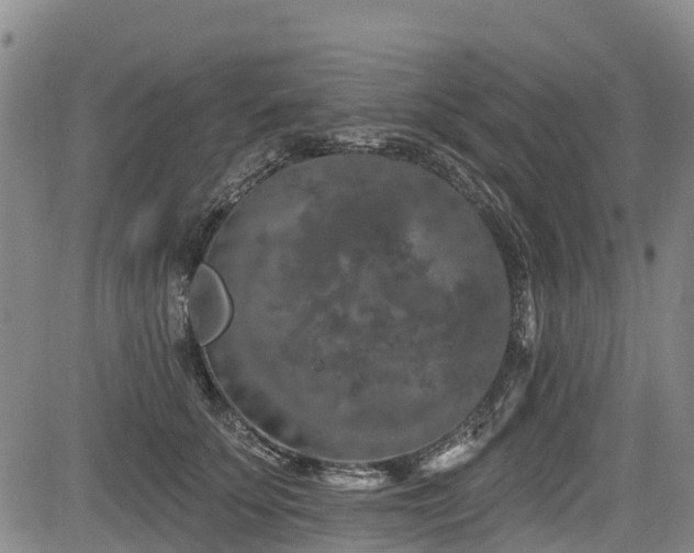 X0000084050707200702161507