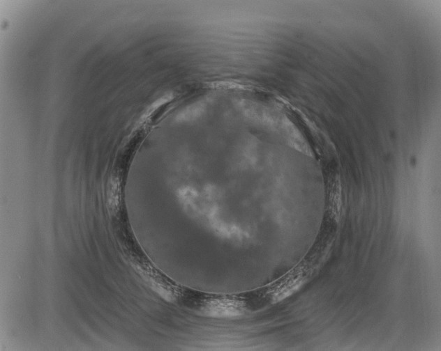 X0000084050708200702161507