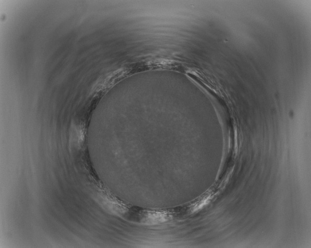 X0000084050709200702161507