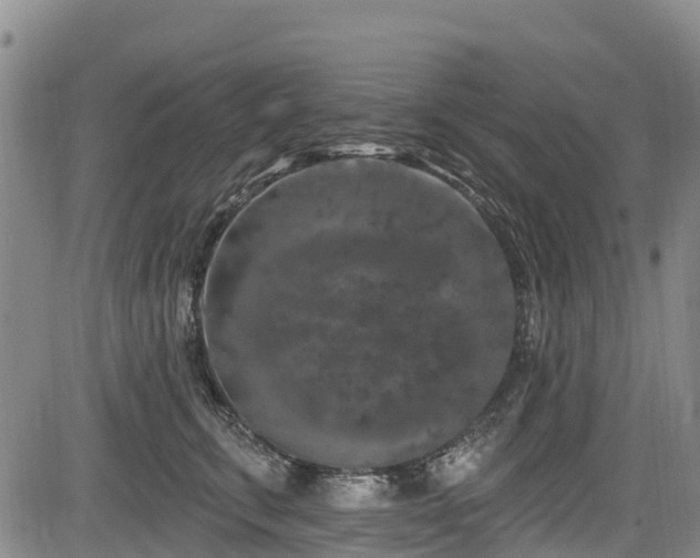 X0000084050711200702161507