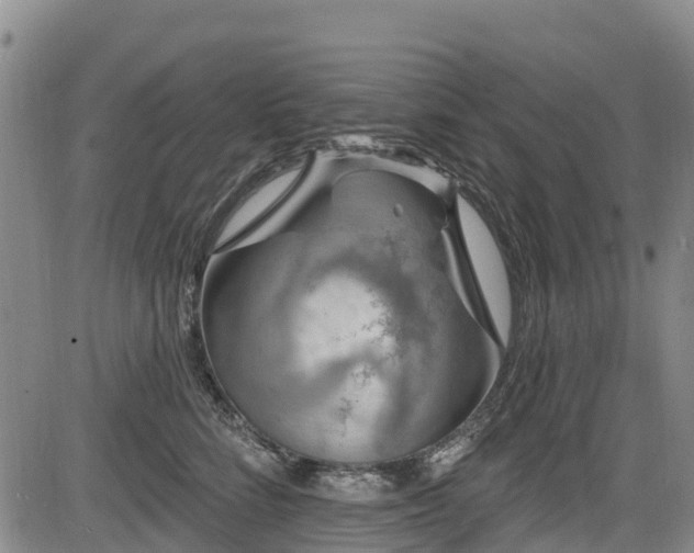 X0000084050712200702161507