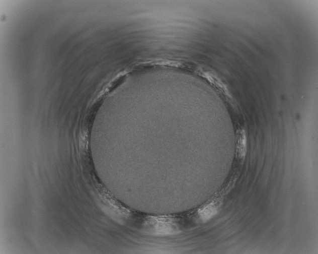 X0000084050713200702161507