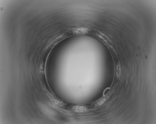 X0000084050714200702161507