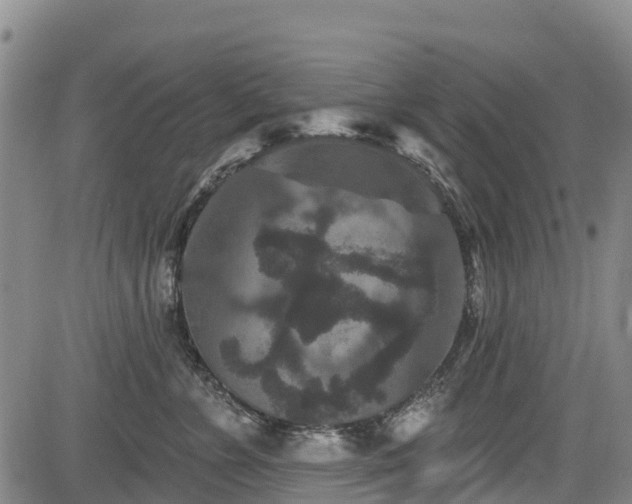 X0000084050715200702161507