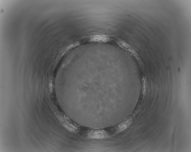 X0000084050716200702161507