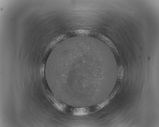 X0000084050717200702161507