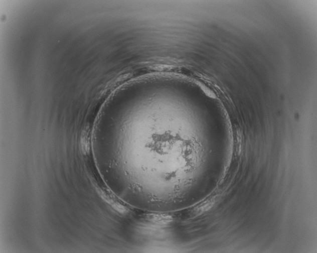 X0000084050719200702161507