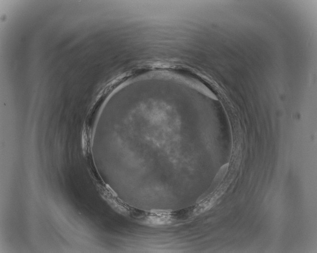 X0000084050720200702161507